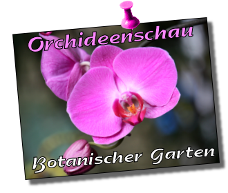 Orchideenschau Leipzig